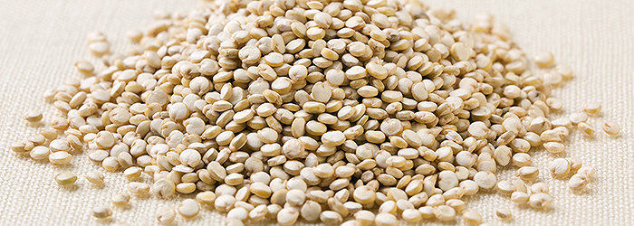 A quinoa vem crescendo rapidamente em popularidade devido à sua ampla gama de benefícios à saúde