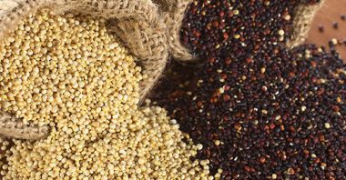 Quinoa: Conheça melhor esse “super grão do futuro”