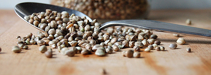 As sementes de cânhamo foram usadas por milhares de anos por várias culturas como uma medicina tradicional e um suplemento dietético.