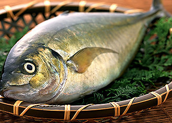 O alto consumo de peixes no Japão fez diminuir o número de ocorrência de doenças cardíacas.