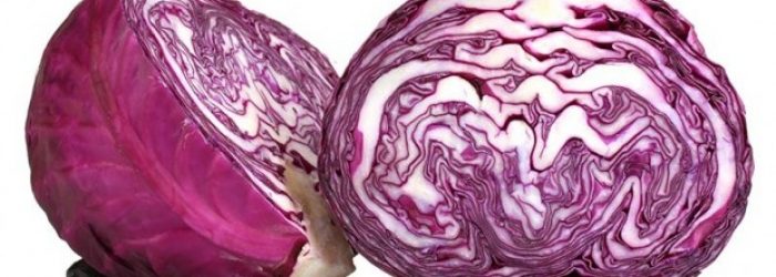 Repolho engorda ou emagrece?