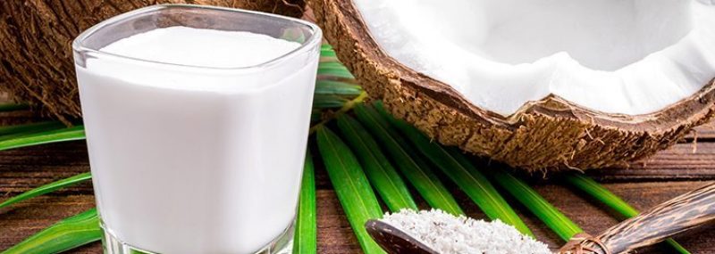 leite de coco beneficios