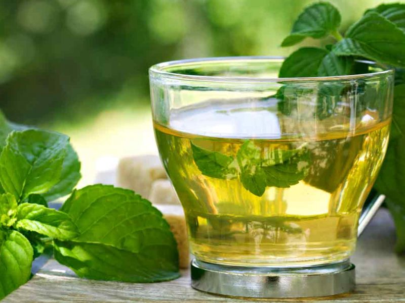 Chá De Boldo Cura A Ressaca E Tem Mais 5 Benefícios 0896