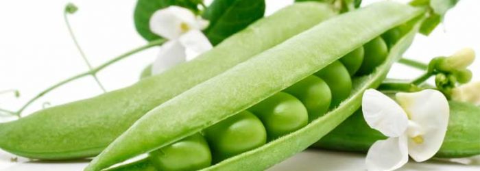 feijão verde
