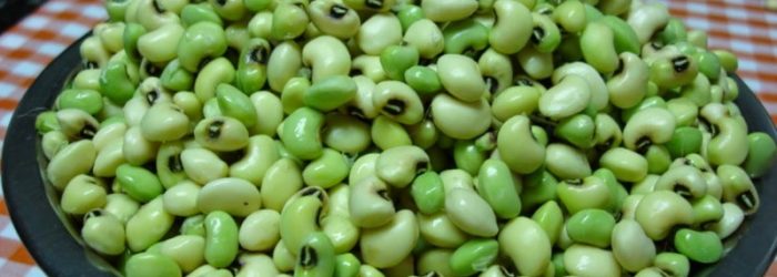 feijão verde
